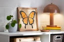 Cricut Maker 4 - Variant Gallery 11