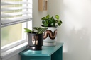 Cricut Vinyl Skintones - Gallery 2