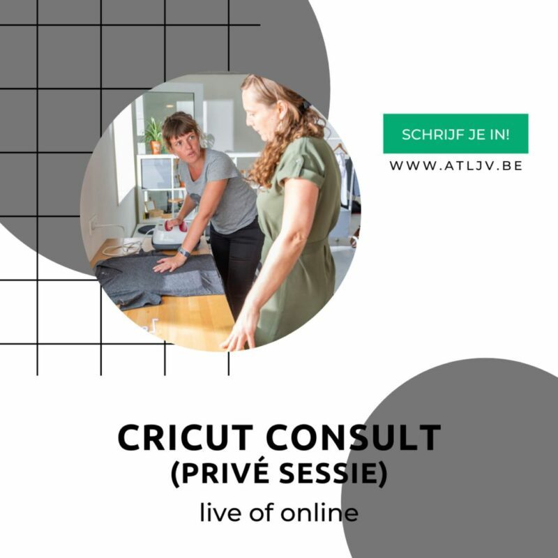 cricut-consult-2