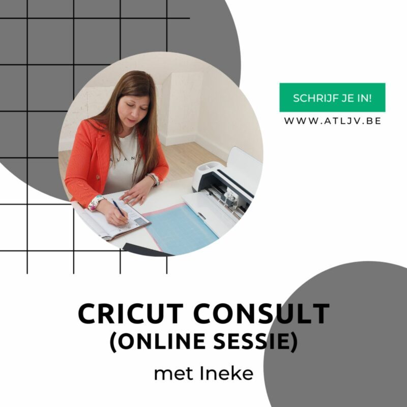 cricut workshop online Zoersel Ineke