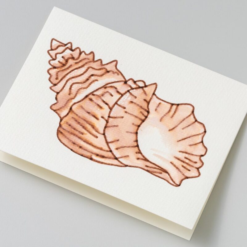 2009979_730316-PRD-Watercolor-Cards-Markers-DS-Projects-Sea-Shell-Card-39