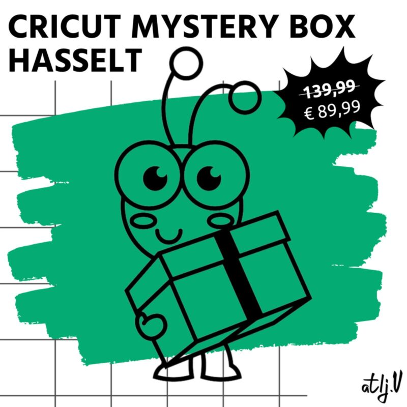 pop-up HASSELT mystery box